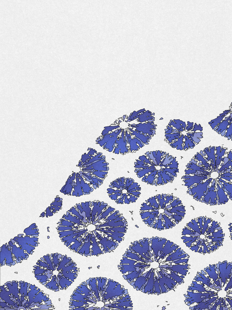 shibori-dyeing